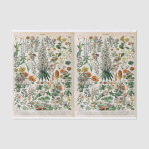 Millot Illustrations, Botanical, Decoupage  Tissue Paper