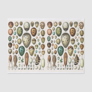 Millot Illustrations, Eggs, Decoupage Tissue Paper