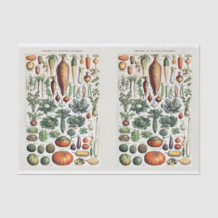 Millot Illustrations, Garden Vegetables, Decoupage Tissue Paper