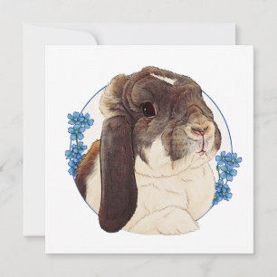 Milly Moo Bunny Card