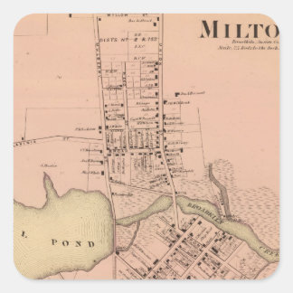 Milton Delaware Square Sticker