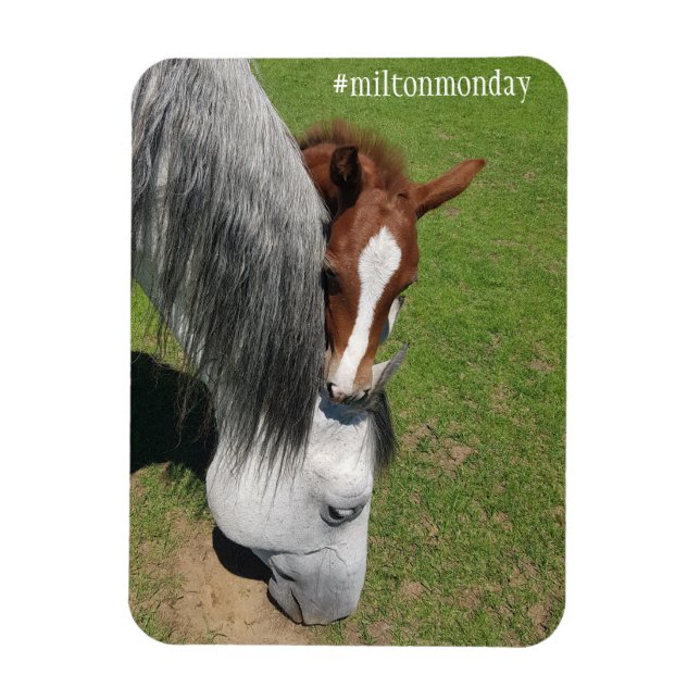 Milton Monday Magnet (Vertical)