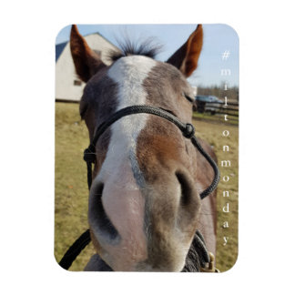 Milton Monday magnet