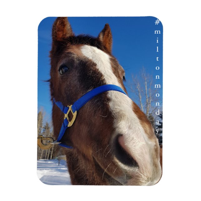 Milton Monday Magnet (Vertical)