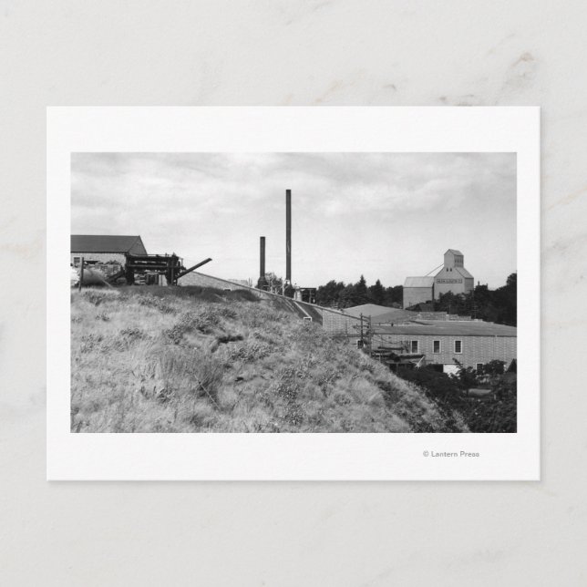Milton, Oregon View of Town Elevator Photograph Postcard (Front)
