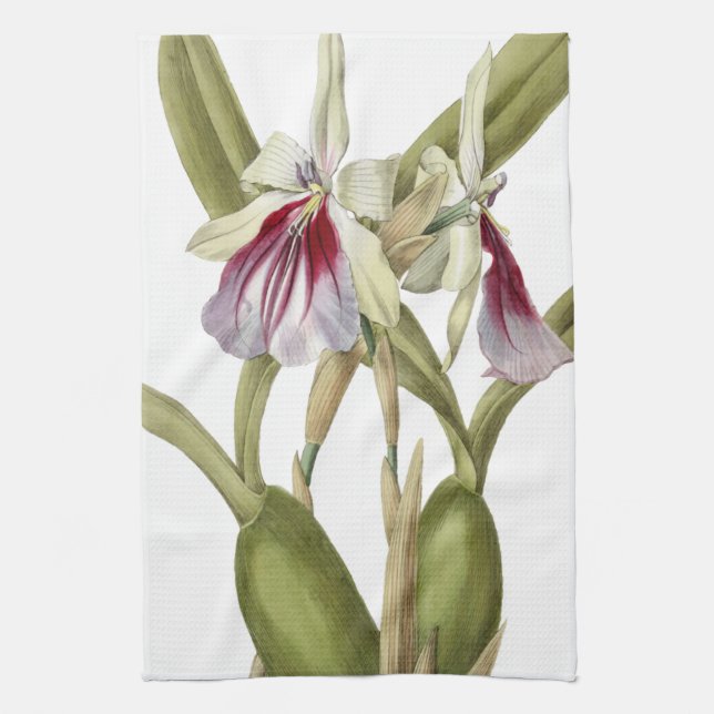 Miltonia Spectabilis orchid botanical kitchen towe Tea Towel (Vertical)