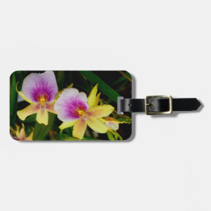 Miltonia Sunset Luggage Tag