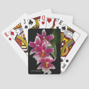Miltonioda Sakura Playing Cards