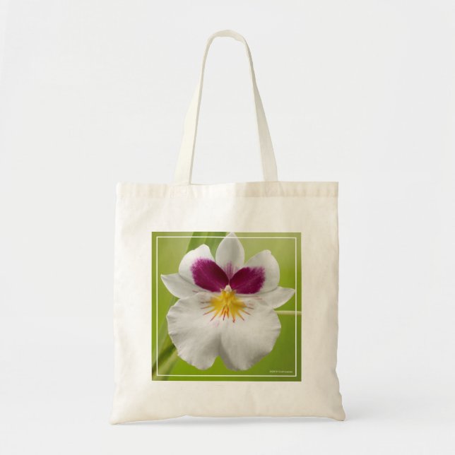 Miltoniopsis Roezlii (Pansy Orchids) Tote Bag (Front)
