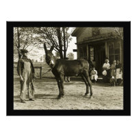 Milwaukee Mule and Farmer Vintage Postcard