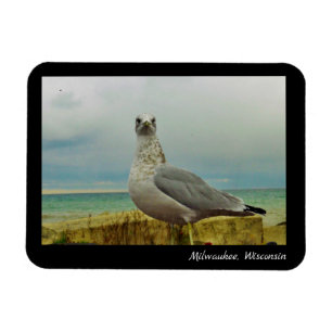 Milwaukee, Wisconsin Magnet