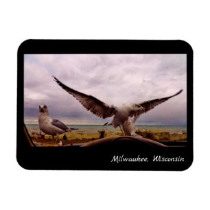 Milwaukee, Wisconsin Magnet