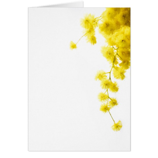 Mimosa Card (Front)