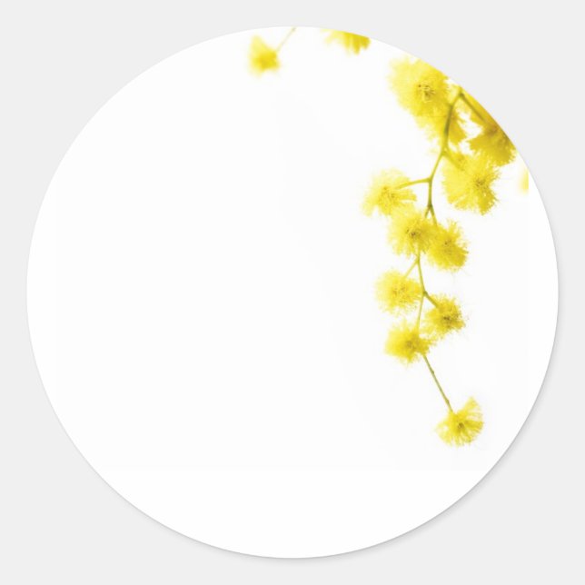 Mimosa Classic Round Sticker (Front)