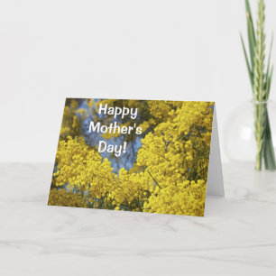 Mimosa In Bloom Mother's Day Card