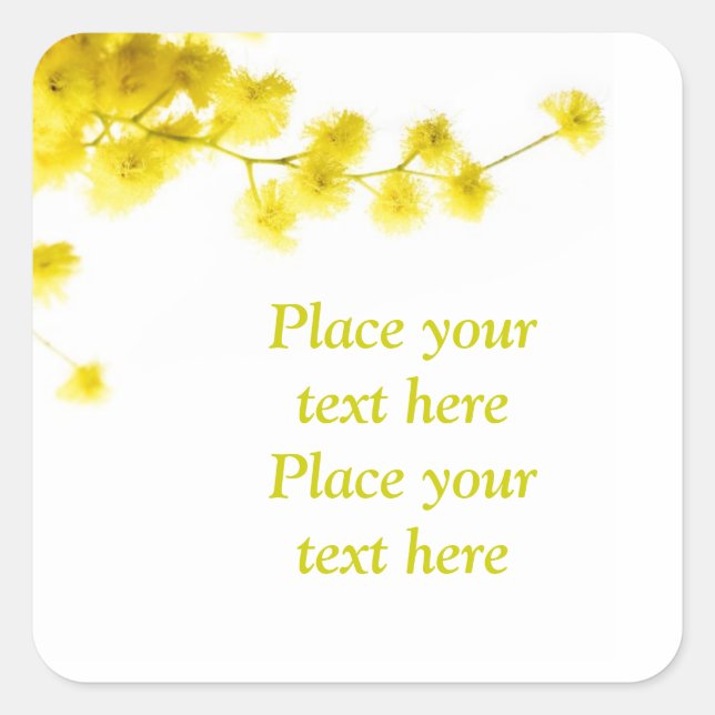 Mimosa Square Sticker (Front)