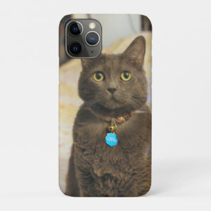Mims    iPhone 11 pro case