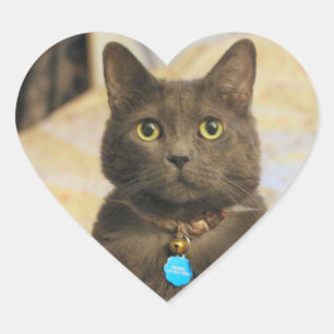 Mims Heart Sticker