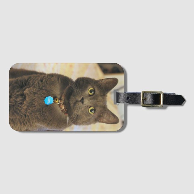 Mims   laptop sleeve luggage tag (Front Horizontal)