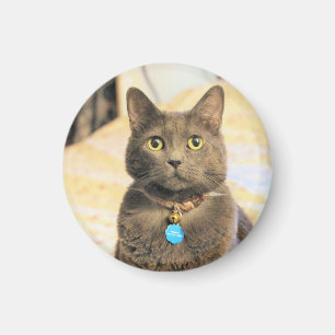 Mims   magnet