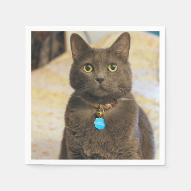 Mims    napkin (Front)