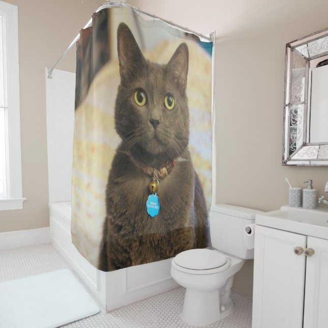 Mims Shower Curtain (In Situ)