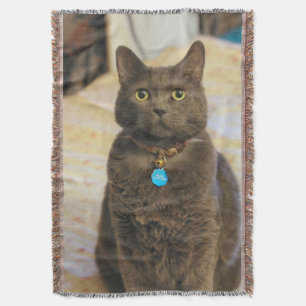 Mims Throw Blanket
