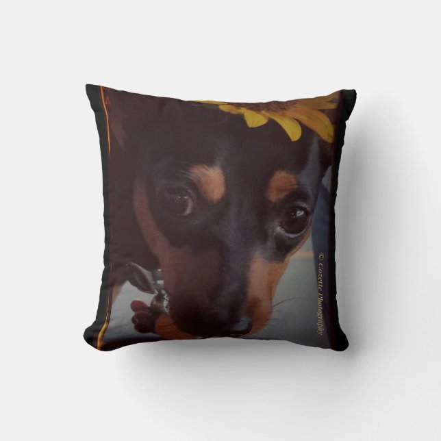 Min Pin and Sunflowers Cushion (Front)
