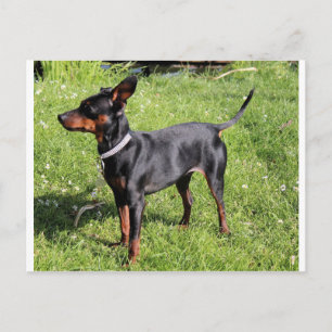 min pin black and rust full postcard