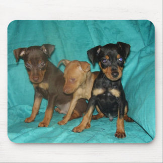 min-pins mouse mat