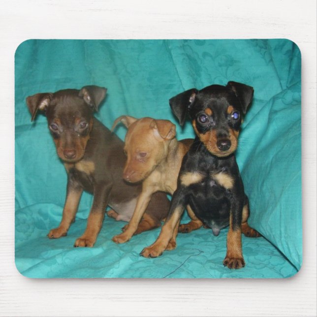 min-pins mouse mat (Front)