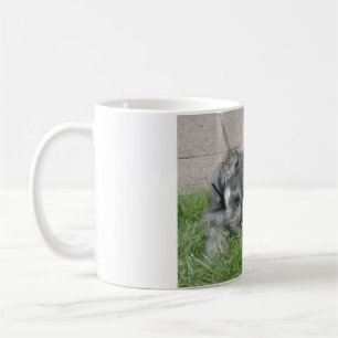 min schn salt and pepper puppy coffee mug