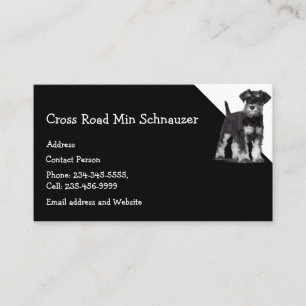 Min Schnauzer Dog Pet Animal  Business Card