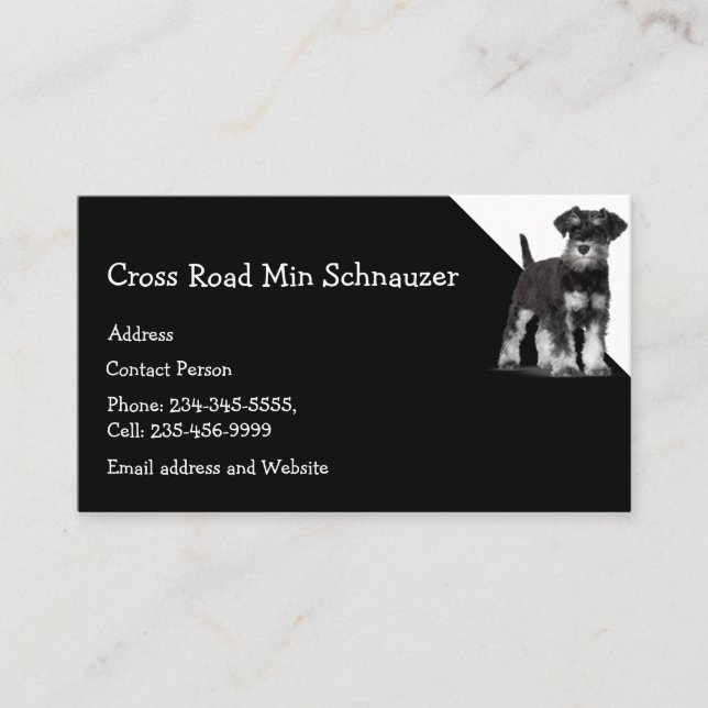 Min Schnauzer Dog Pet Animal  Business Card (Front)