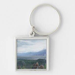 Minas Tirith in View Key Ring