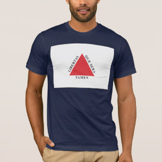 Minasgerais Flag T-shirt