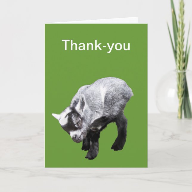 Minature Goat Scratching Thank-you Card (Front)