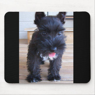 Minature Schnauzer Mouse Mat