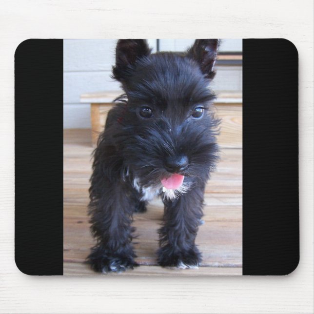 Minature Schnauzer Mouse Mat (Front)