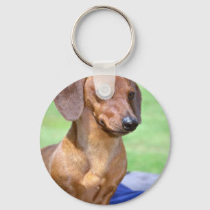 Minature Smooth Dachshund Key Ring