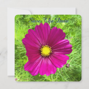 Mind Edition: Cosmos Save The Date