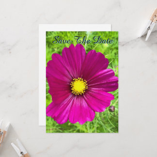 Mind Edition: Cosmos Save The Date Invitation