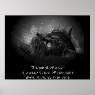 Mind of a cat  haiku poster