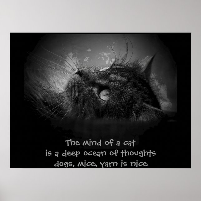 Mind of a cat  haiku poster (Front)
