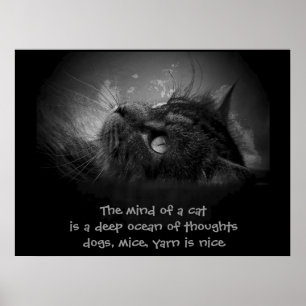 Mind of a cat  haiku poster