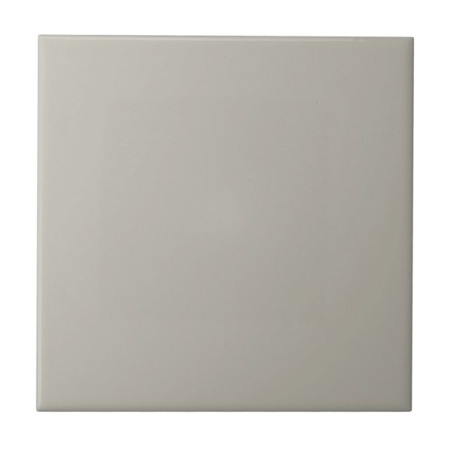 Mindfully Grey Square Kitchen and Bathroom Tile (Front)