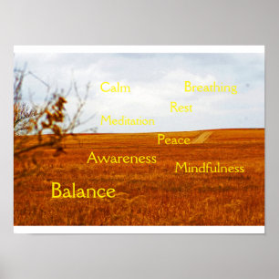 Mindfulness and Meditation poster V