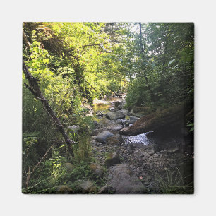 Miner Creek, Samuel H. Boardman, OR Magnet