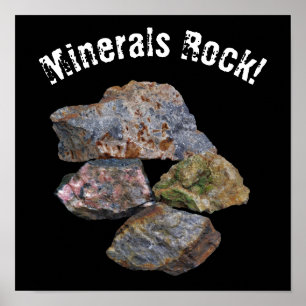 Minerals Rock Collectors Funny  Poster