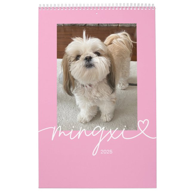 Mingxi Calendar 2025 (Cover)